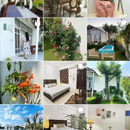 Solanki Farms & Pool Villa Garden Fully Private-3